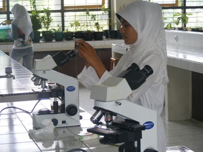Labor Biologi2